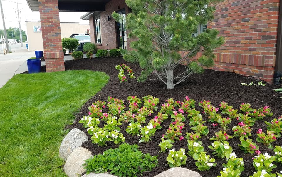 complete landscape services-MADS Lawn and Landscape Specialists